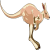 Kangaroo