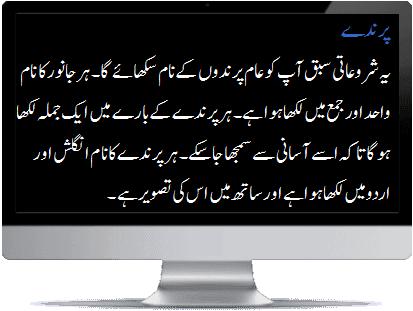 Urdu birds intro