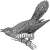 Cuckoo