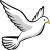 Dove