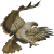 Hawk
