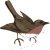 Nightingale