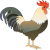 Rooster