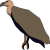 Vulture