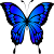 blue colour