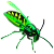 green colour