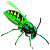 green wasp