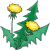 Dandelion