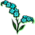 Forget-me-not