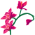 Orchid