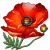 Poppy