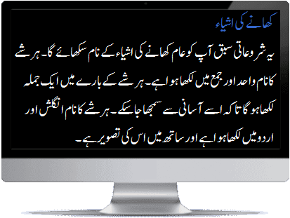 Urdu food items intro