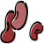Kidney Bean