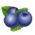 Blueberry