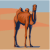Desert