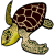 Sea turtle