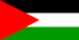 Palestine flag